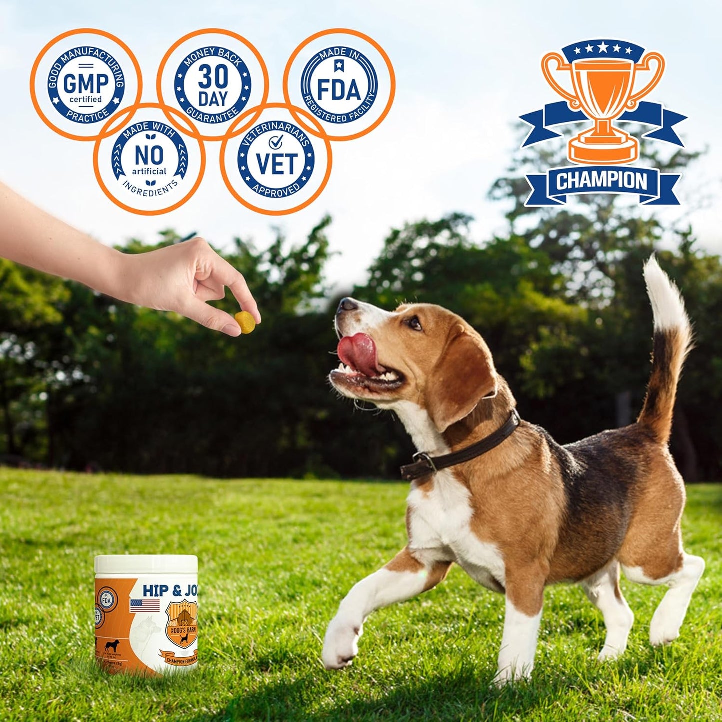 Old Dog's Barn Joint Health Chews™