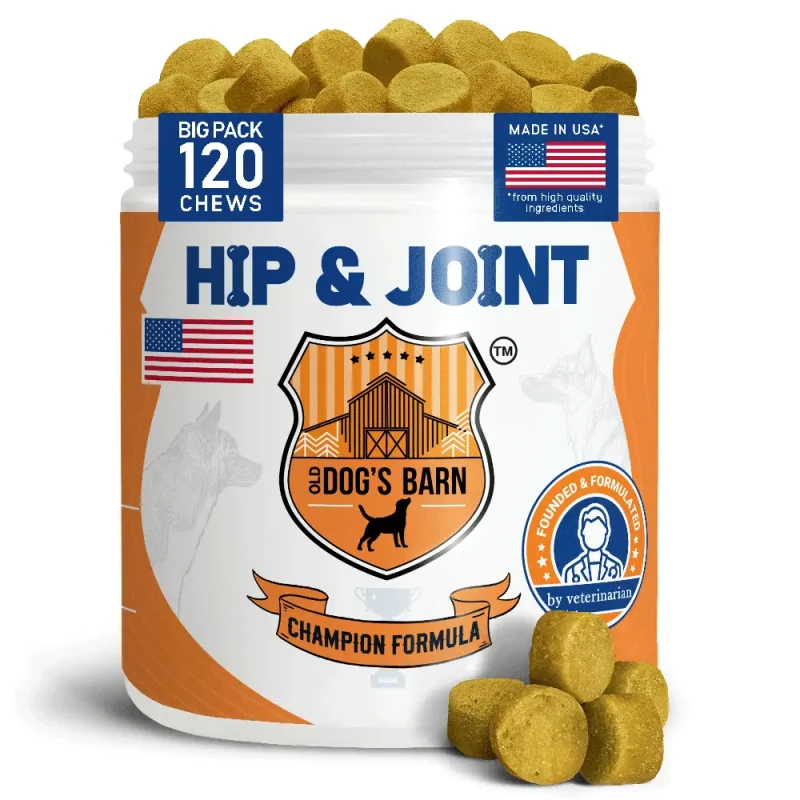 HIP & JOINT
